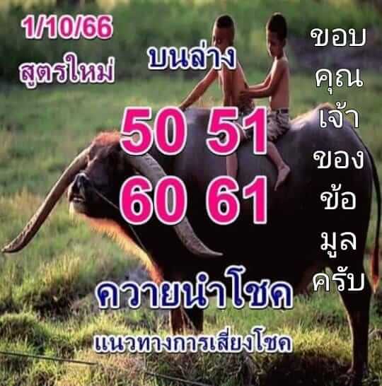 หวยควายนำโชค